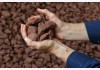 Giá thép hôm nay 8/5: Quặng sắt nối dài đà tăng phiên thứ 4 liên tiếp nhờ triển vọng nhu cầu thép