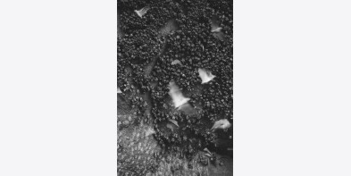 Israel mở rộng hoạt động quân sự tại Lebanon và tấn công phủ đầu Iran