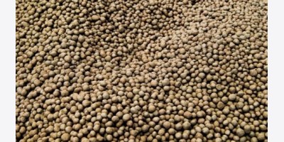 Sản lượng quặng sắt thô của Trung Quốc giảm trong tháng 1-2