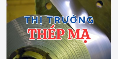 Tổng hợp thị trường thép mạ TQ tháng 9/2025