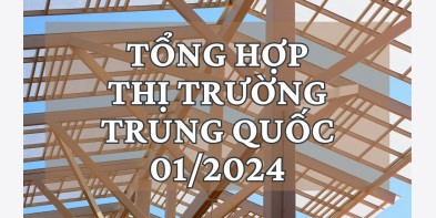 Tổng hợp thị trường TQ tháng 1/2024
