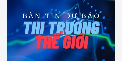 Dự báo thị trường TG ngày 24/10/2025