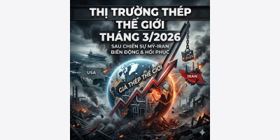 Tổng hợp thị trường thép TG tháng 3/2026