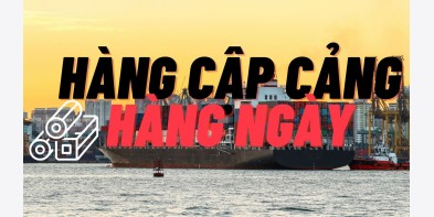Hàng cập cảng TPHCM ngày 03-11-2025 / 2