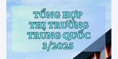 Tổng hợp thị trường thép TQ tháng 3/2025