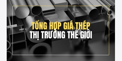 Tổng hợp giá thép TG ngày 24/10/2025