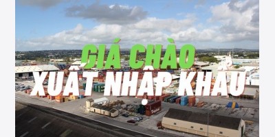 Chào giá xnk ngày 24/10/2025