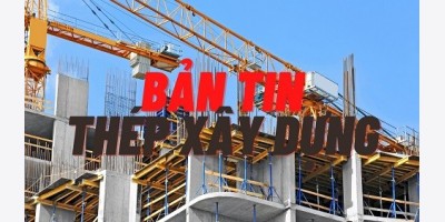 Bản tin thép xây dựng tuần 43/2025